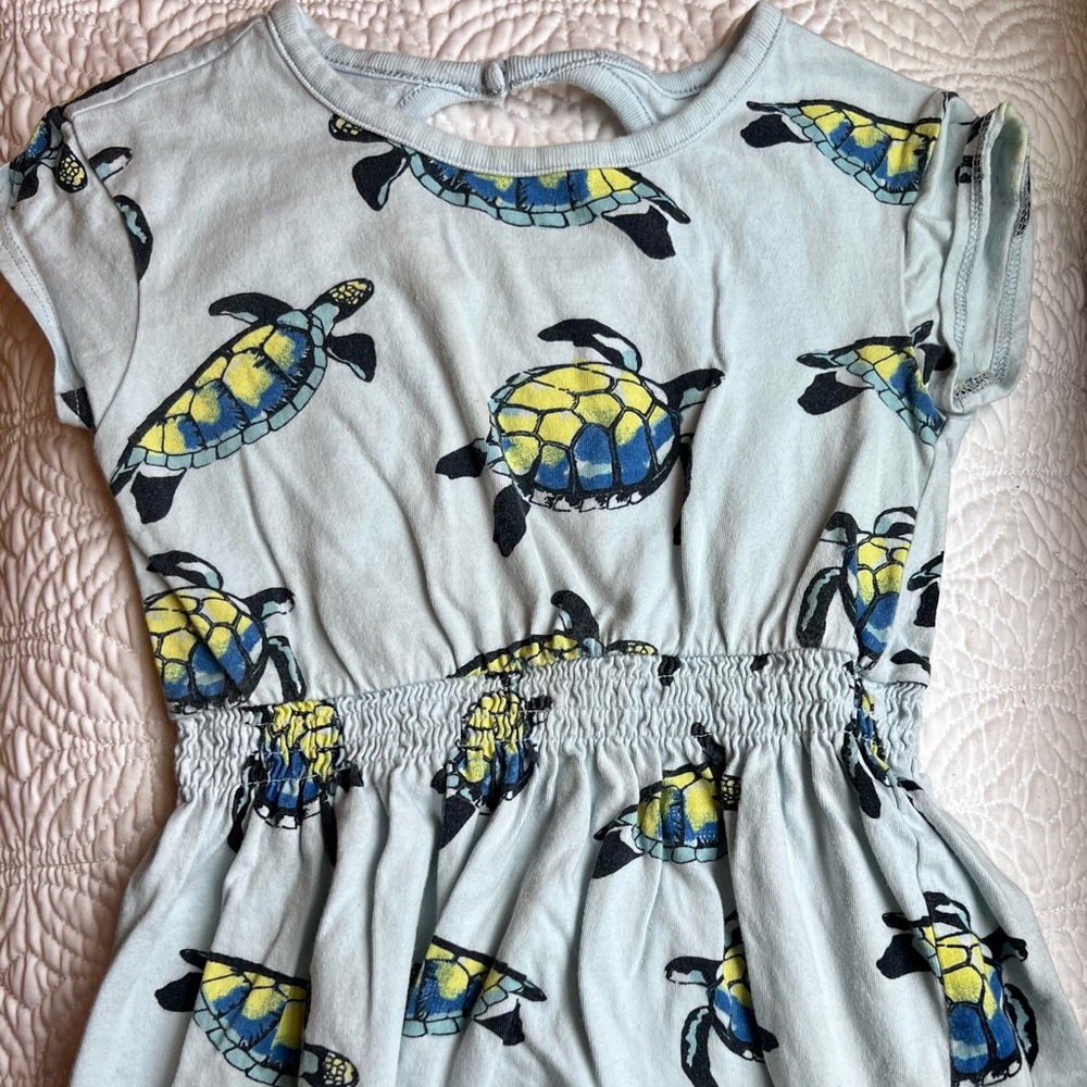 Tea Turtle Dress 🐢